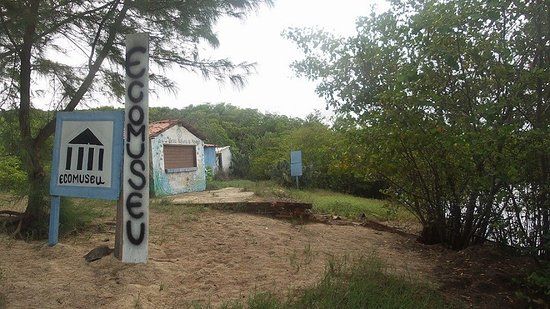 Ecomuseum Mangrove Natural